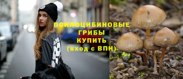 экстази Богородск