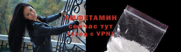 сатива Баксан