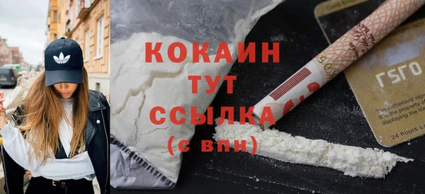 сатива Баксан