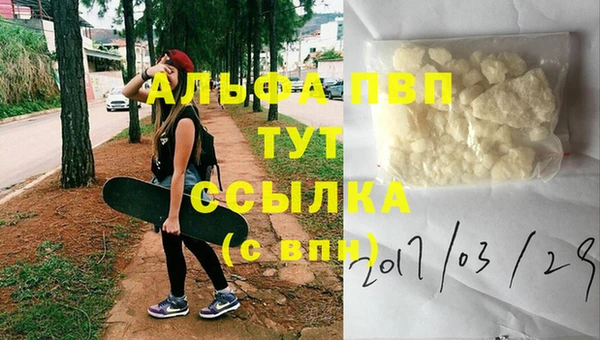 сатива Баксан