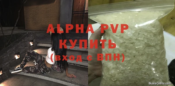 индика Балахна